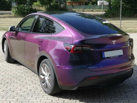 Effektfolie FlipFlop Scarabäus